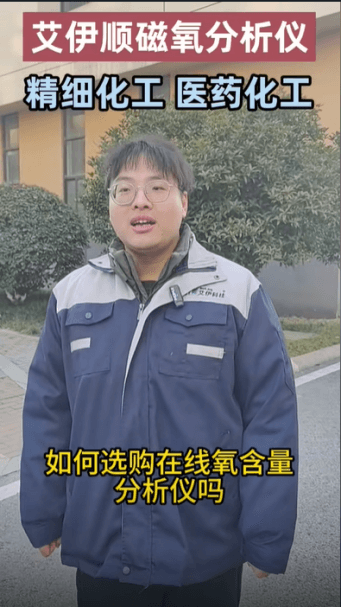 在线微量顺磁氧分析仪厂家 在线微量顺磁氧分析仪厂家