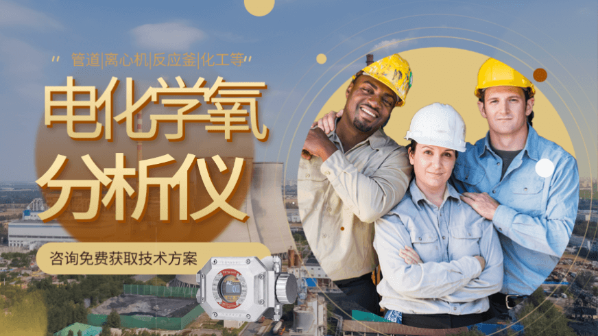 河北在线电化学氧气分析仪 河北在线电化学氧气分析仪
