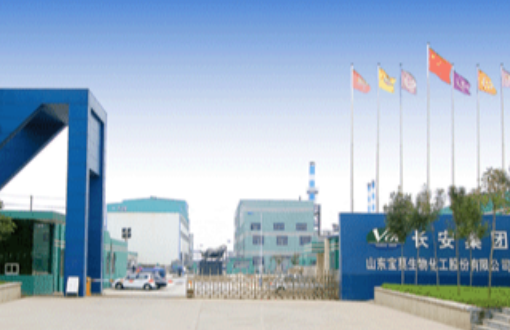 山东宝莫生物化工粉尘检测